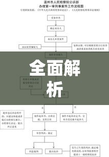 刑事案件流程全面解析  第1张