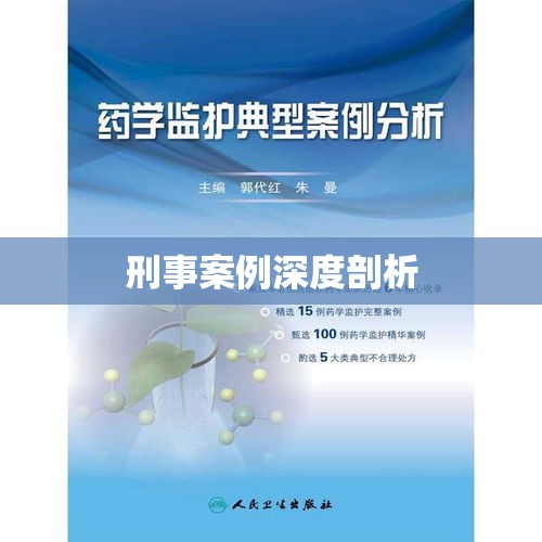 法律视角下的刑事案例深度剖析，一起典型案例研究  第1张