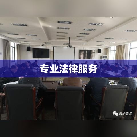 青浦律师咨询，专业法律服务力量为您排忧解难  第1张