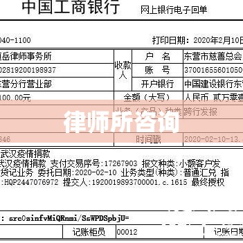 律师所咨询，法律问题的专业解答与权益保障  第1张