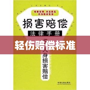 轻伤赔偿标准详解及应用指南  第1张