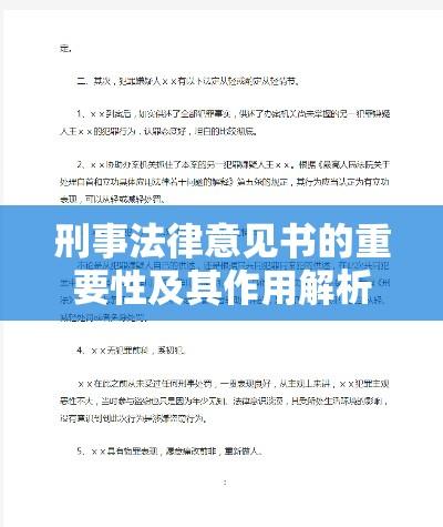 刑事法律意见书的重要性及其作用解析  第1张