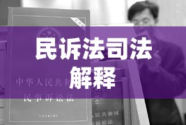 民诉法司法解释，民事诉讼制度改革的关键要素详解  第1张