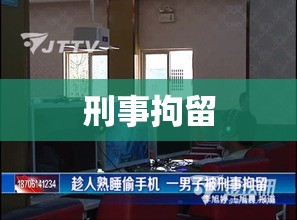 刑事拘留中的手机处理探讨  第1张