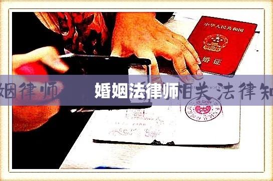 婚姻法律师，守护家庭和谐之盾，诠释法律精神的专家  第1张