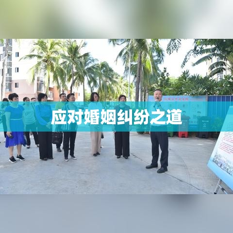 婚姻纠纷深度解析与应对之道  第1张