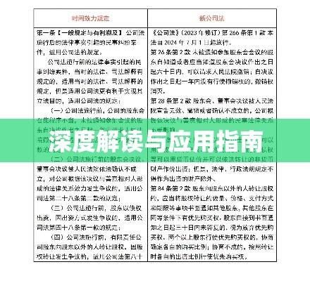 公司法司法解释二深度解读与应用指南  第1张