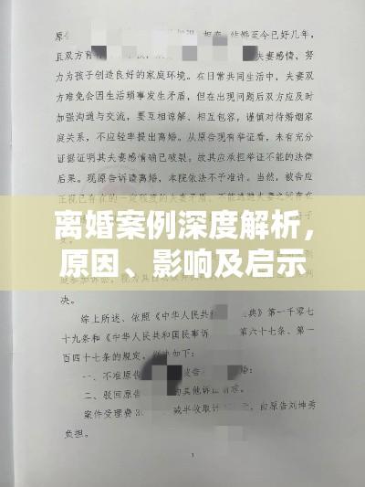 离婚案例深度解析，原因、影响及启示探究  第1张