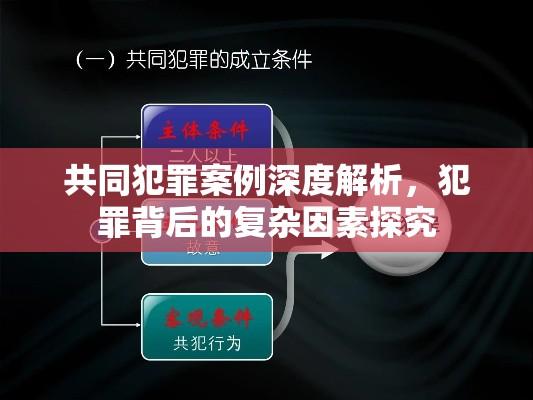 共同犯罪案例深度解析，犯罪背后的复杂因素探究  第1张