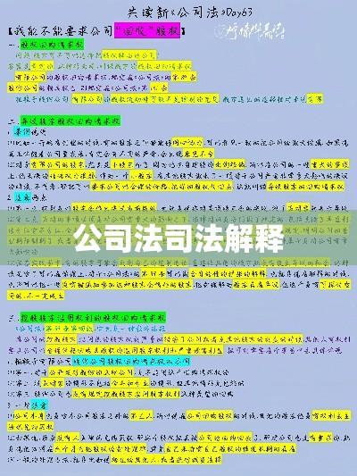 公司法司法解释，深化理解与应用指南  第1张