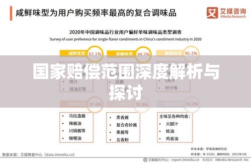 国家赔偿范围深度解析与探讨  第1张