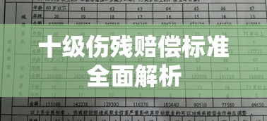 十级伤残赔偿标准全面解析  第1张