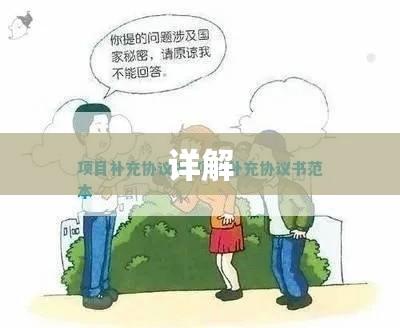 XX项目合同补充协议详解  第1张