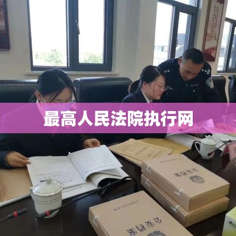 最高人民法院执行网，构建公正高效执行体系  第1张