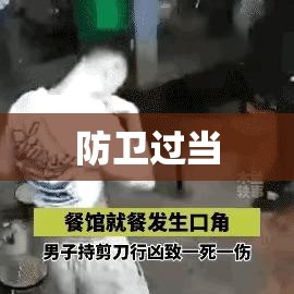 防卫过当案例解析与法律影响探讨  第1张