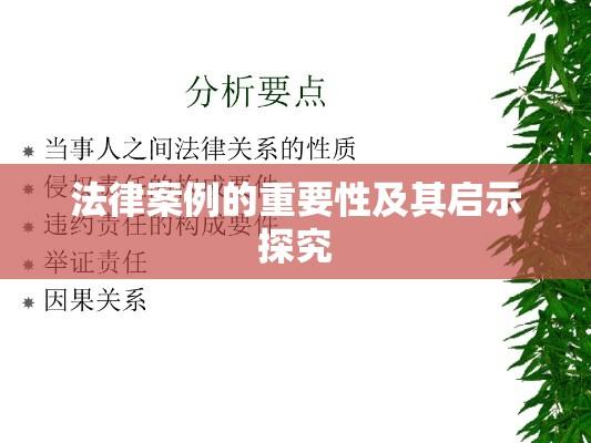 法律案例的重要性及其启示探究  第1张