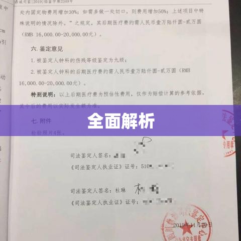 九级工伤赔偿标准全面解析  第1张