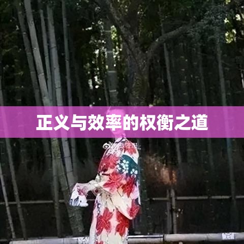 刑事案件审理期限，正义与效率的权衡之道  第1张