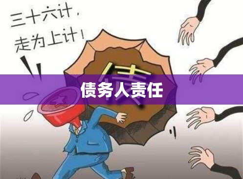 债务人责任与挑战，负债之路的探究  第1张