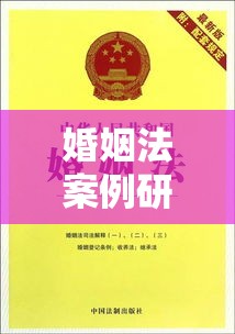 婚姻法案例研究，探寻婚姻制度的进步与挑战及法律实践之路  第1张