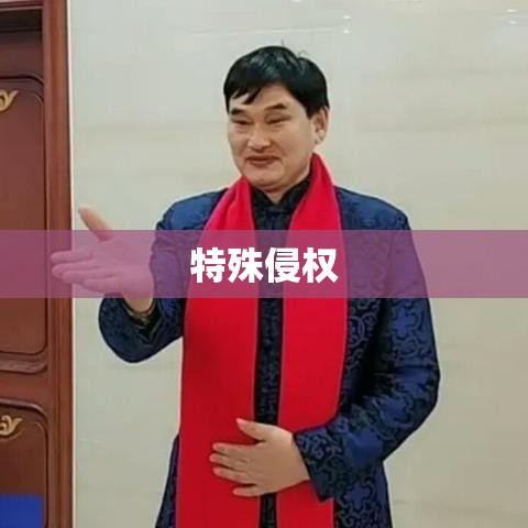 特殊侵权，法律领域的独特性与复杂挑战解析  第1张