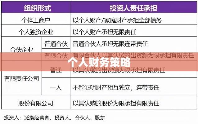 债务承担，责任、策略与个人财务的探索之路  第1张