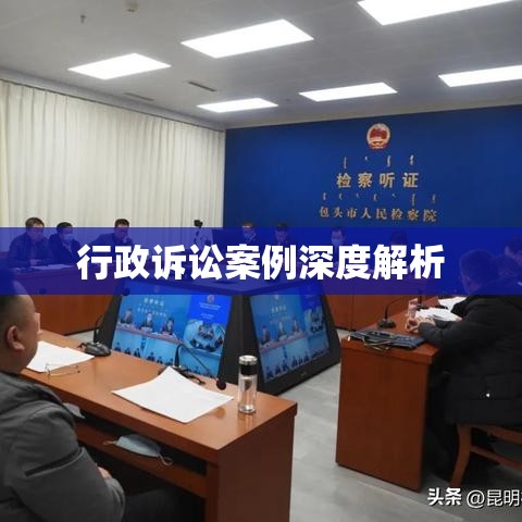 行政诉讼案例深度解析，以具体案例为视角的探讨  第1张