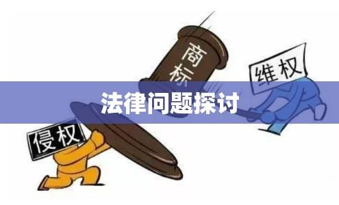 商标侵权起诉状及相关法律问题的深入探讨  第1张