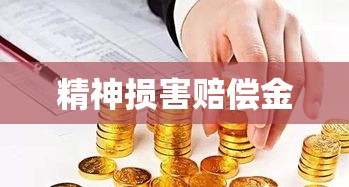 精神损害赔偿金，法律框架下的精神利益保障与维护  第1张