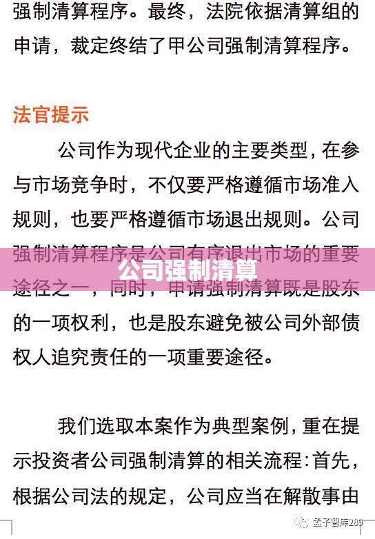 公司强制清算案件审理工作座谈会纪要解读与概述  第1张