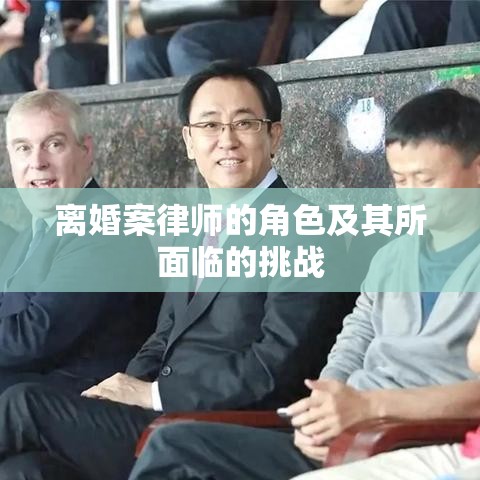 离婚案律师的角色及其所面临的挑战  第1张