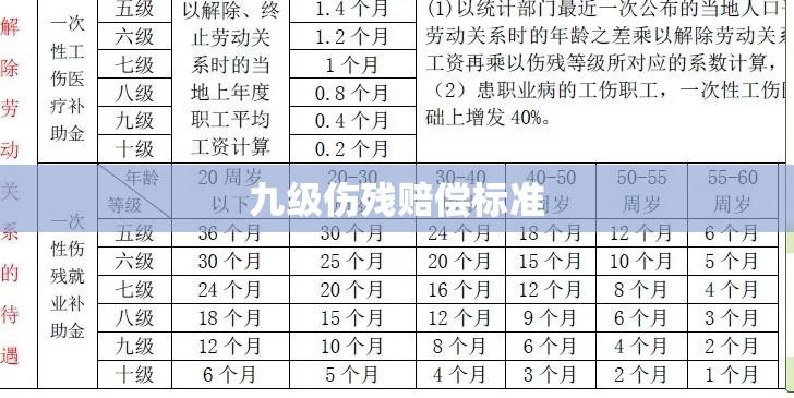 九级伤残赔偿标准全面解析  第1张