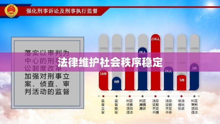 刑事案件，法律如何维护社会秩序稳定  第1张