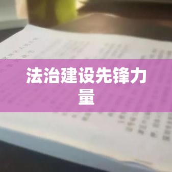 深圳龙岗律师，法治建设的先锋力量，推动与实践并重  第1张