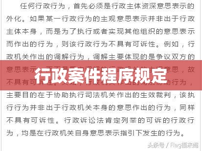 办理行政案件程序规定的深度解读与探讨  第1张