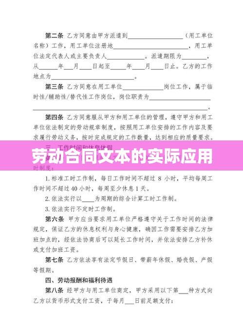 劳动合同文本的重要性及其实际应用  第1张