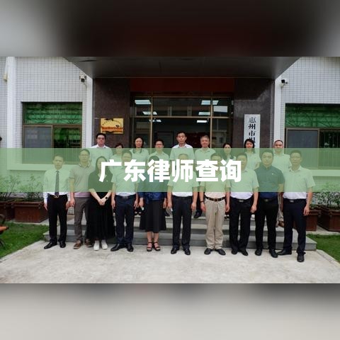 广东律师查询，专业法律服务的新视角探索  第1张