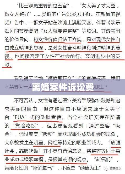 离婚案件诉讼费的深度解析，重要性及实操指南  第1张