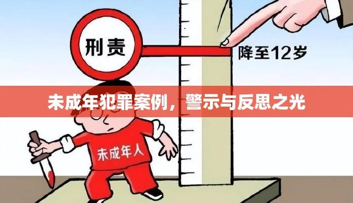 未成年犯罪案例，警示与反思之光  第1张