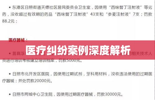 医疗纠纷案例深度解析，责任、权益与解决之道探讨  第1张