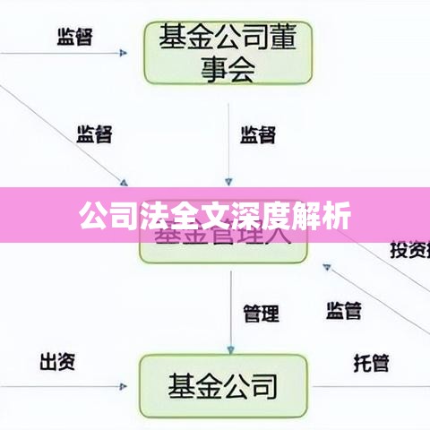 公司法全文深度解析  第1张