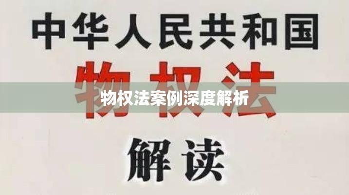 物权法案例深度解析，一则典型案例分析探秘  第1张