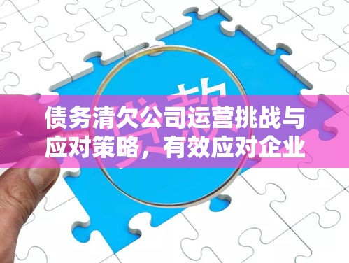 债务清欠公司运营挑战与应对策略，有效应对企业债务问题之道  第1张