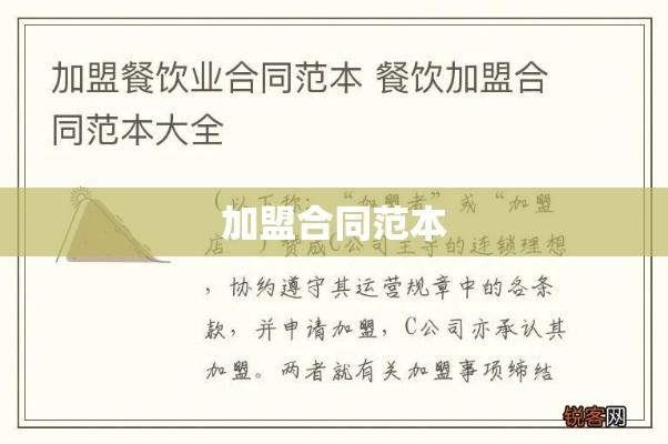 加盟店合同范本详解与解析  第1张