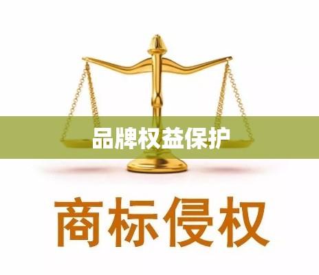 北京商标侵权律师，专业捍卫品牌权益的力量  第1张