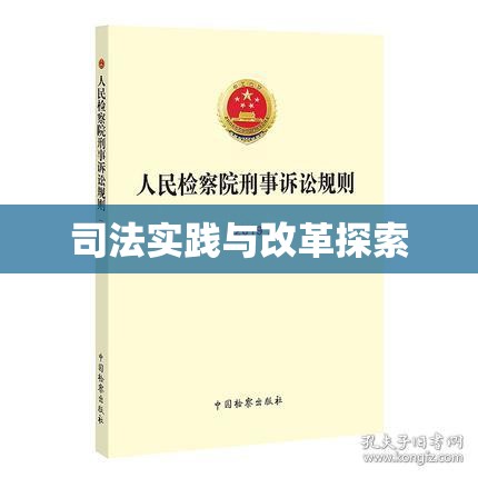 人民检察院刑事诉讼规则下的司法实践与改革探索  第1张