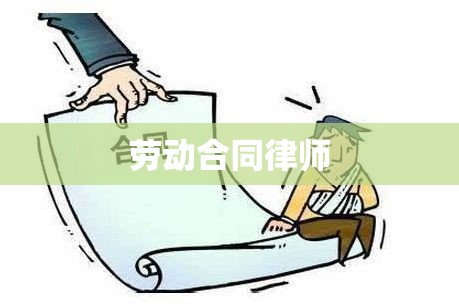 劳动合同律师，劳动者权益的守护者  第1张