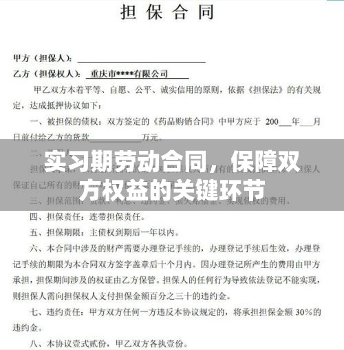 实习期劳动合同，保障双方权益的关键环节  第1张