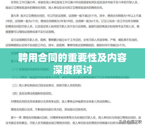 聘用合同的重要性及内容深度探讨  第1张