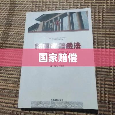 国家赔偿，正义与法治的交汇点  第1张